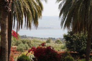 View eastward from the Mount of Beatitudes.