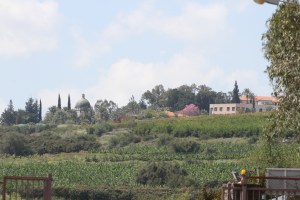 View up to the church on the top of the hill that is the likely location of the Mount where Jesus gave the sermon on the mount, including the beatitudes.