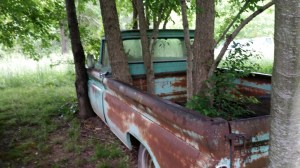 I think Don left the truck parked there a little too long.