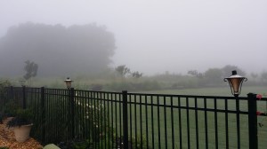 The fog after the rain.
