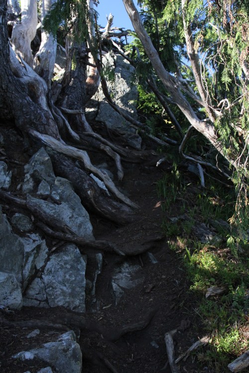 Guardians at the top of Plummer Peak.  