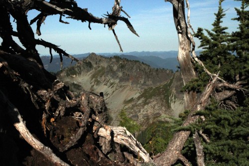 A view through the Guardians.