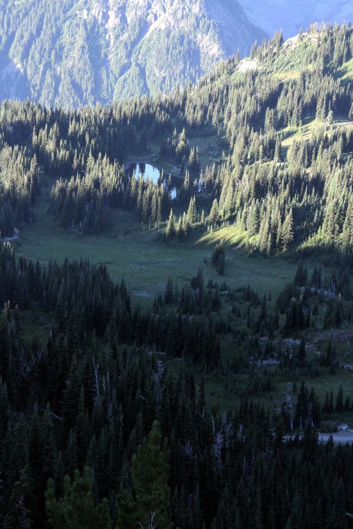 Coyotes began howling down around that lake a mile or so away.