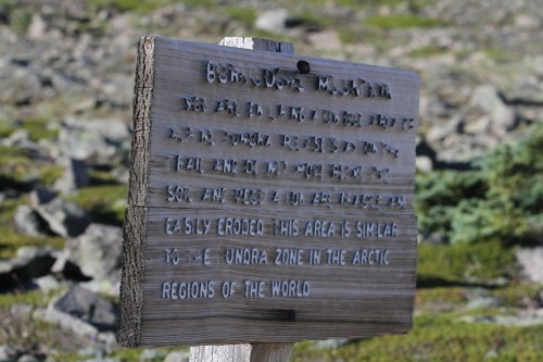 Notice that the Burroughs Mountain terrain is much like the Tundra from areas much further north.