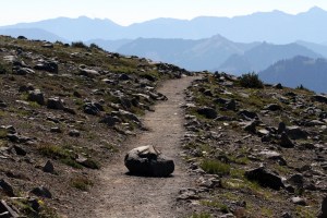 A resting spot in the middle of the Sunrise Rim Trail on Burroughs #1. 