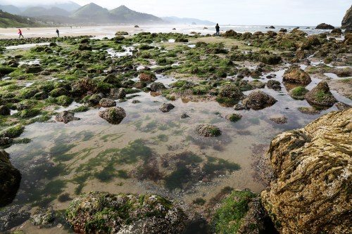 Cannon Beach at Low Tide. It was mid morning and low clouds were still hanging around.