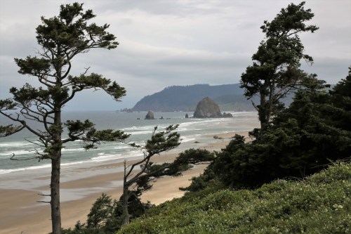 View of Haystack Rock from the south. These are called Sea Stacks. They are the harder rock that stands longer while the softer rock and soil is eroded by years of pounding surf, storms, and winds.