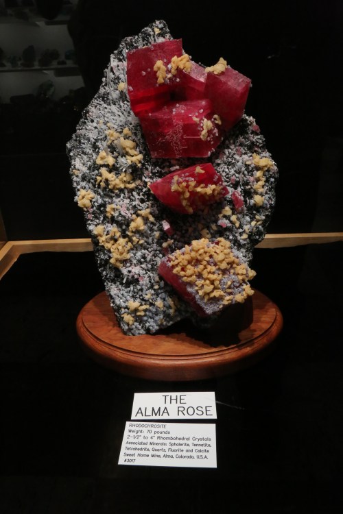 The Alma Rose is one of the centerpiece exhibits. The museum was informative and entertaining.