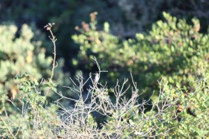 H moves behind me thinking the lighting is a little more flattering.