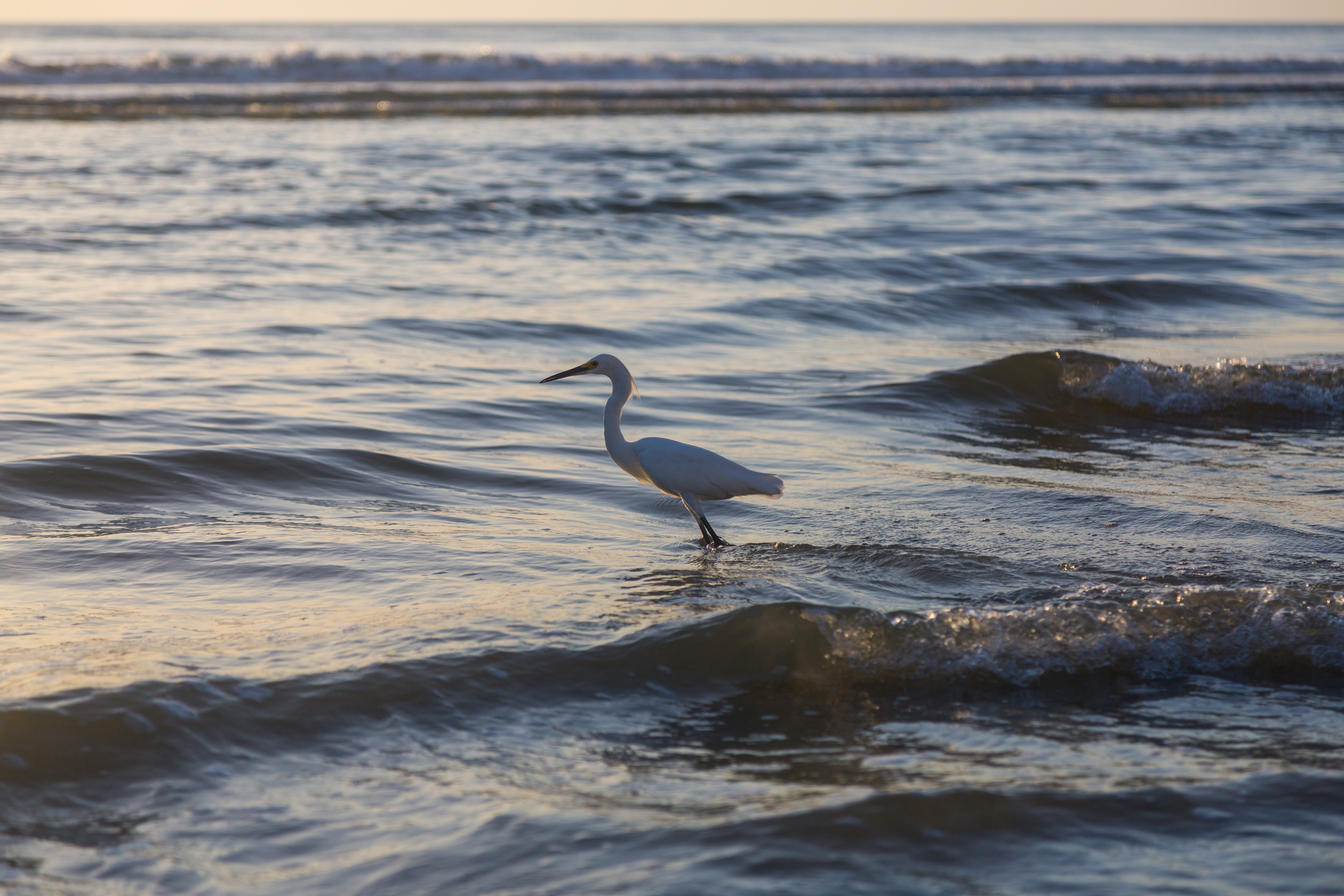 Gauntlet 2016-1-5.jpg