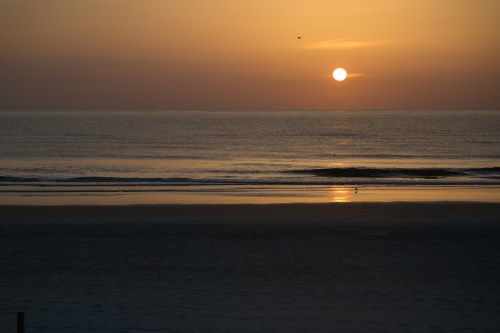 Gauntlet 2016-15-4.jpg