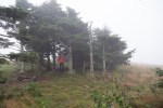 Roan Mountain – Fog and&nbsp;Rainbows-1