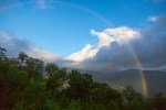 Roan Mountain – Fog and&nbsp;Rainbows-11