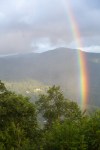 Roan Mountain – Fog and&nbsp;Rainbows-12
