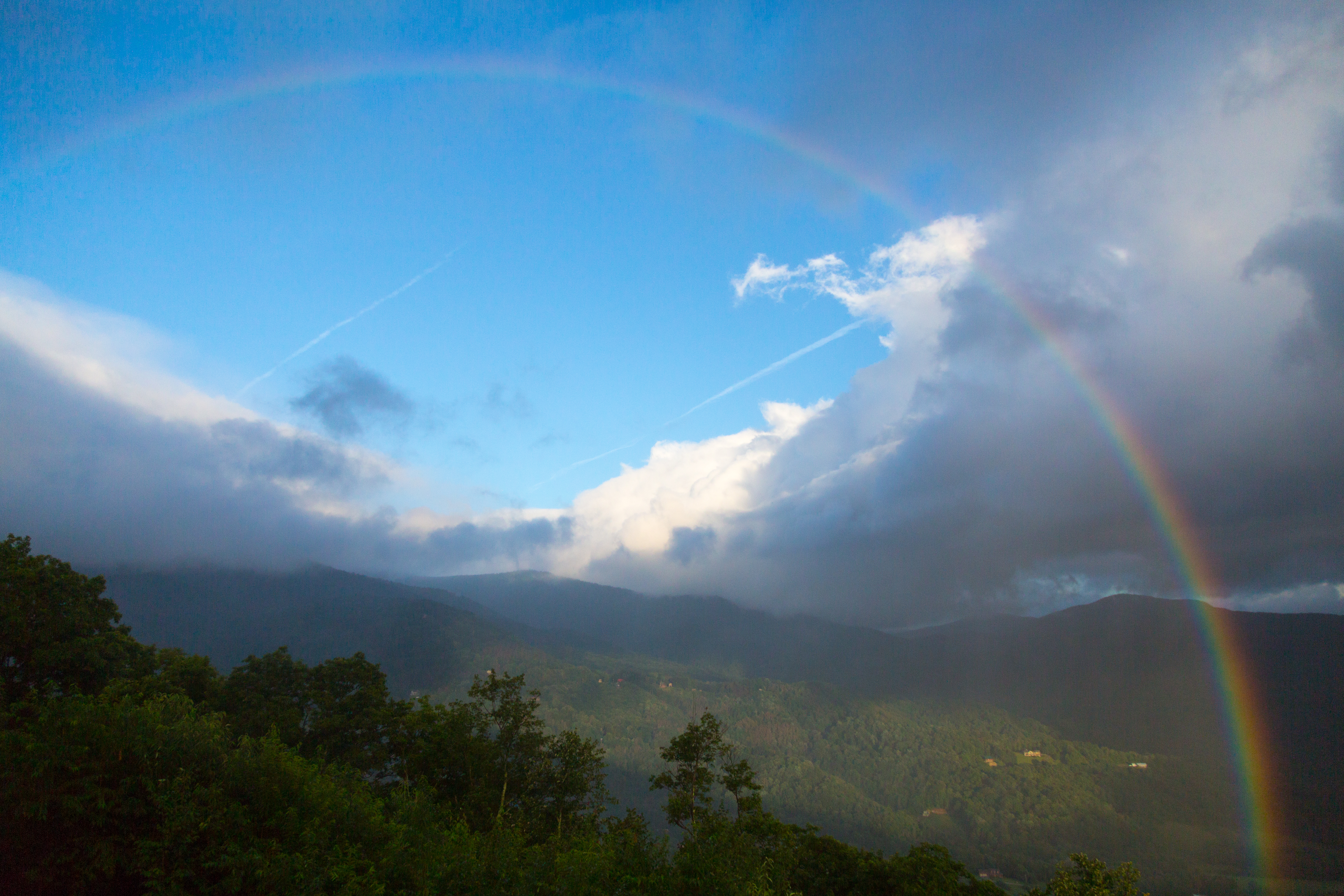 Roan Mountain - Fog and Rainbows-13