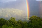 Roan Mountain – Fog and&nbsp;Rainbows-14