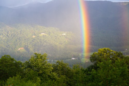 Roan Mountain - Fog and Rainbows-14