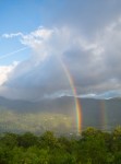 Roan Mountain – Fog and Rainbows-15
