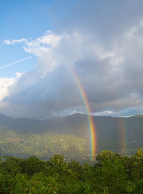 Roan Mountain - Fog and Rainbows-15