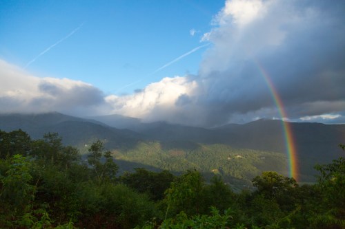 Roan Mountain - Fog and Rainbows-17