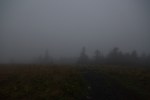 Roan Mountain – Fog and&nbsp;Rainbows-2-4
