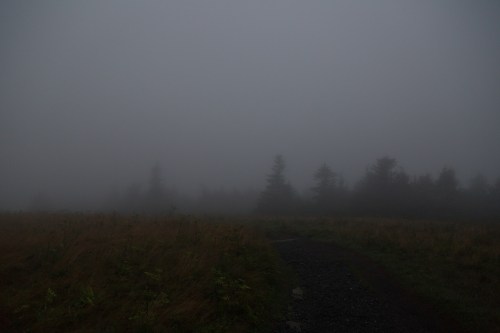 Roan Mountain - Fog and Rainbows-2-4