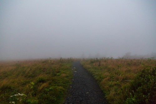 Roan Mountain - Fog and Rainbows-2