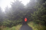 Roan Mountain – Fog and&nbsp;Rainbows-3