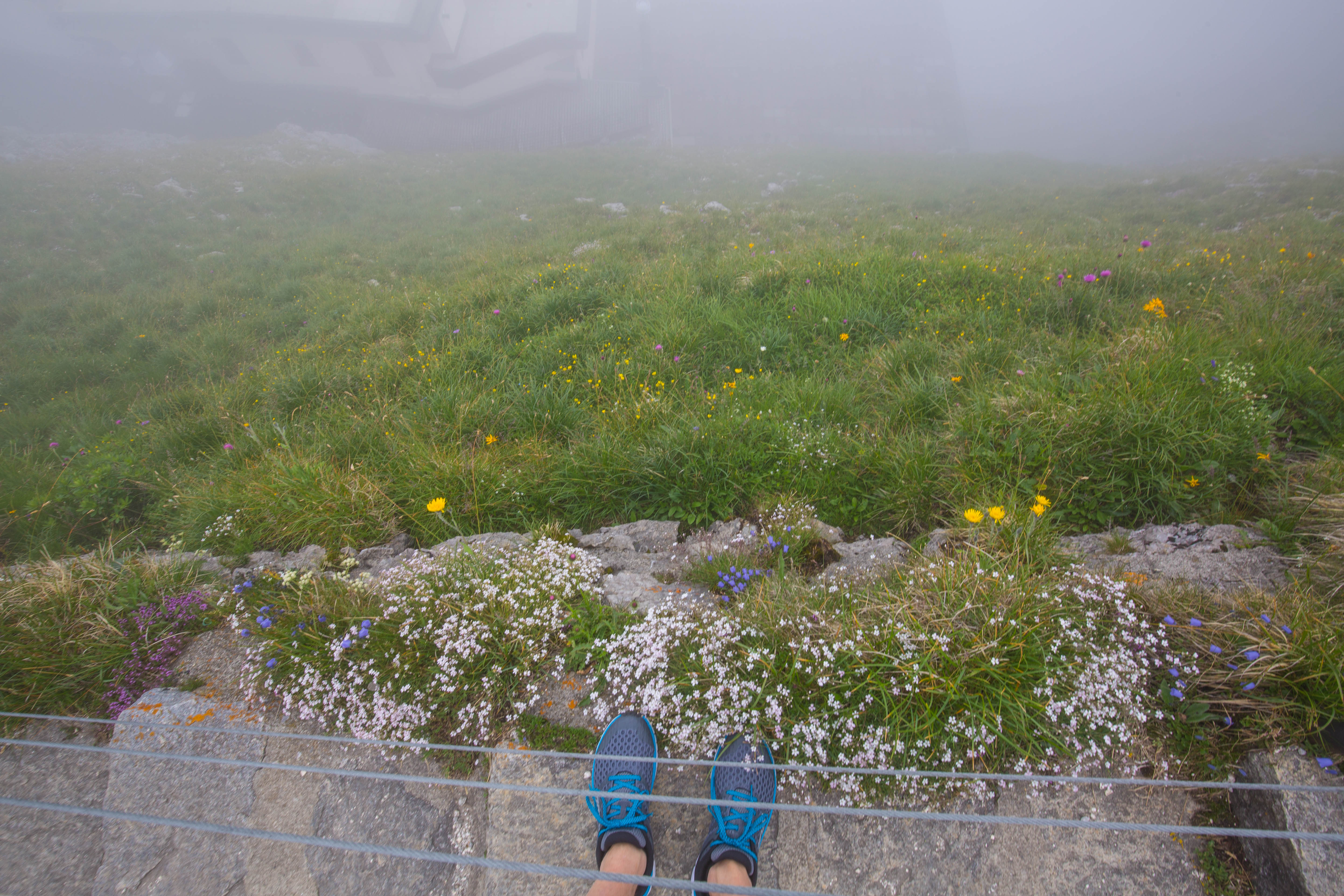 Pilatus Story - 3 Star-16