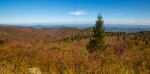 Pisgah National Forest-100