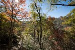 Pisgah National Forest-22