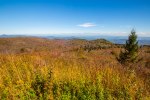 Pisgah National Forest-97