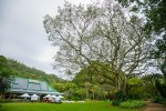 Ultimate Oahu Circle&nbsp;Tour-151